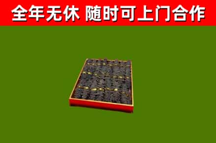 珙县区回收海参